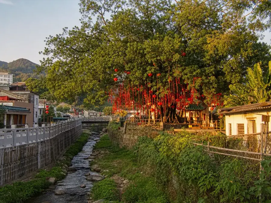 林村——许愿树之乡