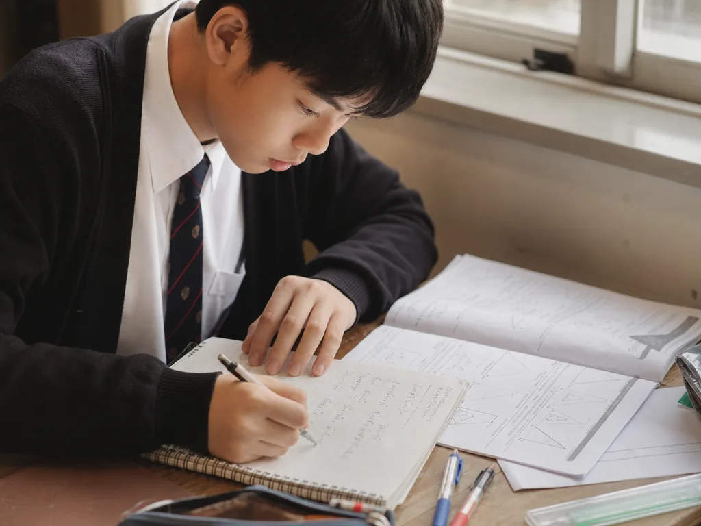 DSE进阶数学证明推导