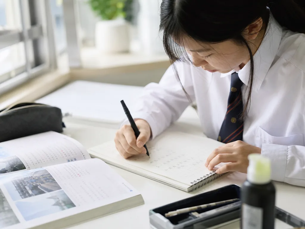 DSE Japanese: Complete Course Guide 5 DSE Japanese writing practice