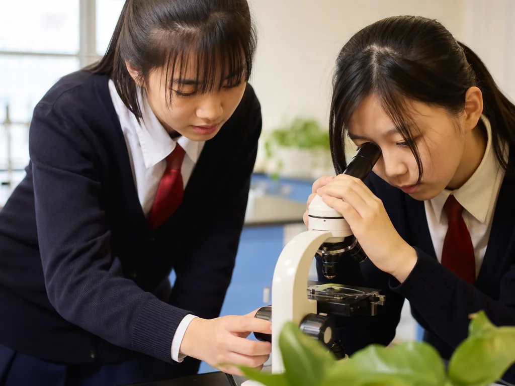 初中生物课学生使用显微镜观察